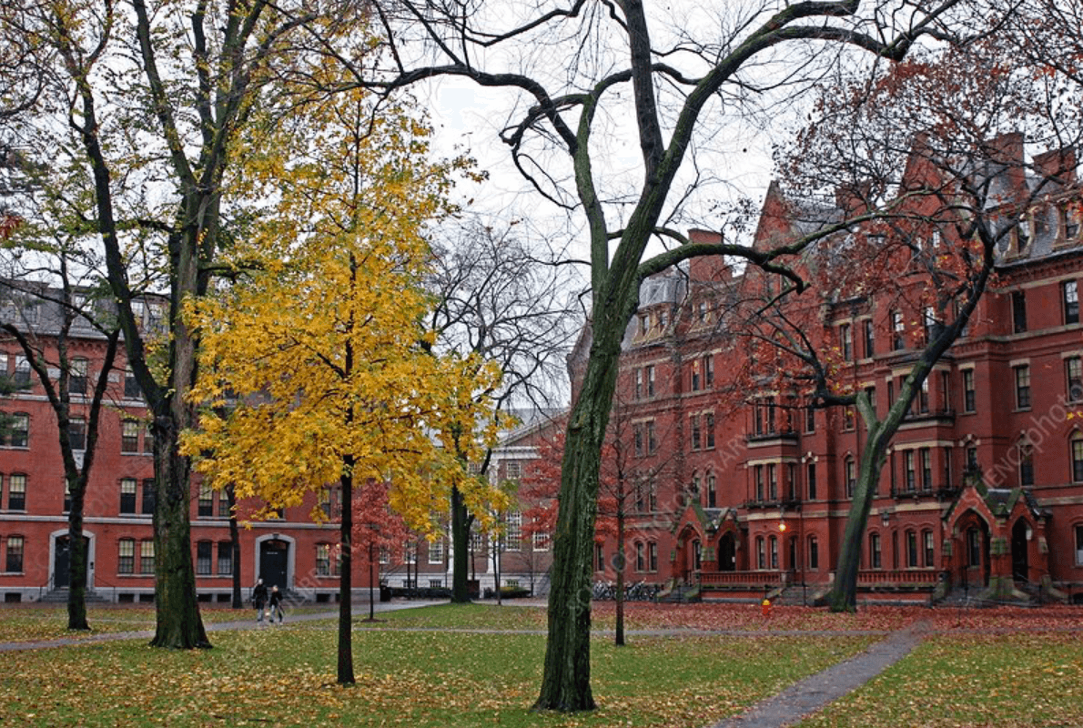 Harvard University