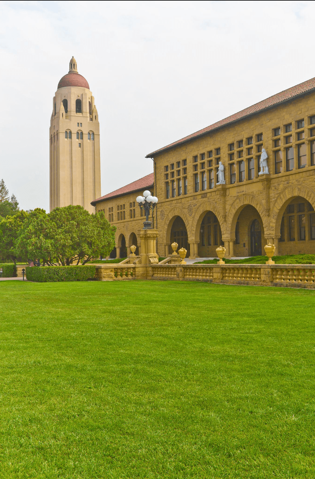 Stanford University